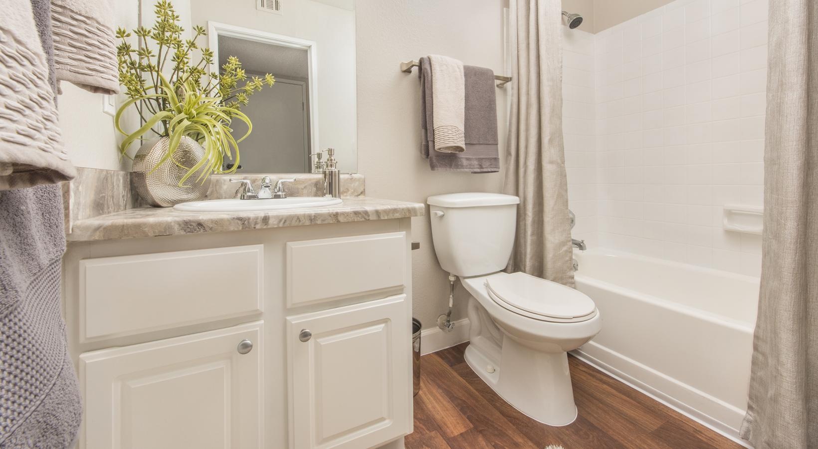 Bathroom options with thoughtful details a bathroom with a tub toilet and sink